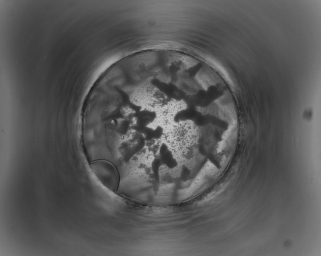 X0000100851095200807070927