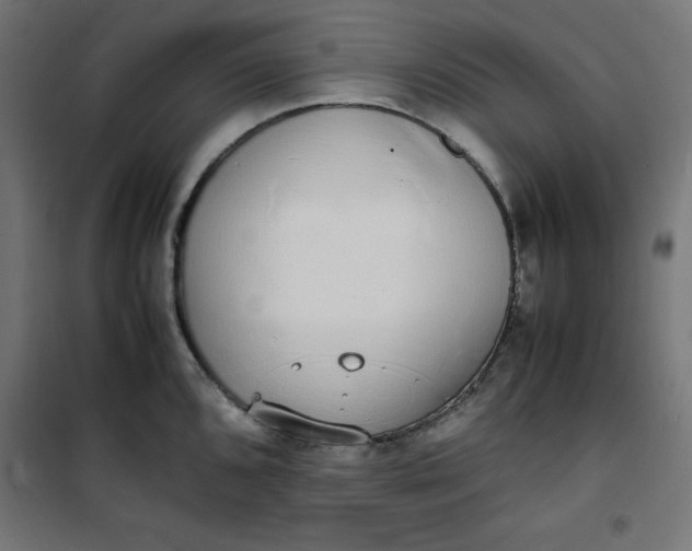 X0000100851096200807070927