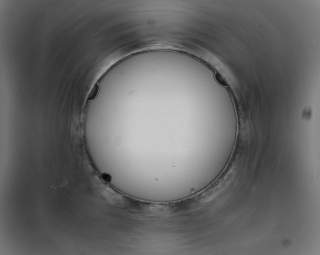 X0000100851097200807070927