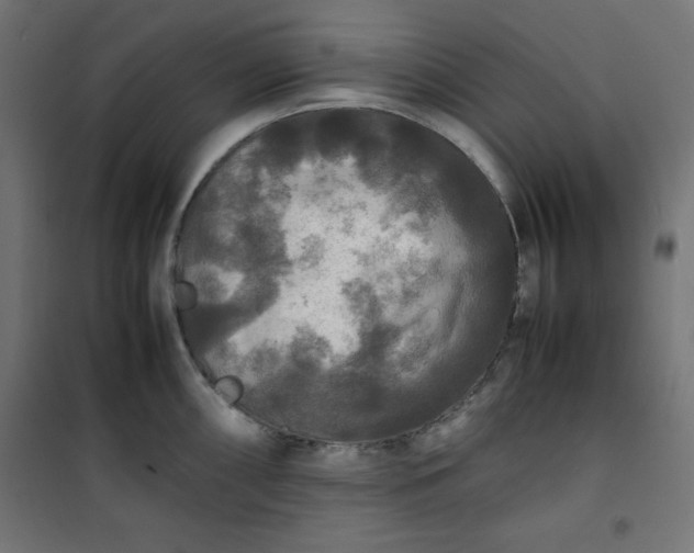 X0000100851098200807070927