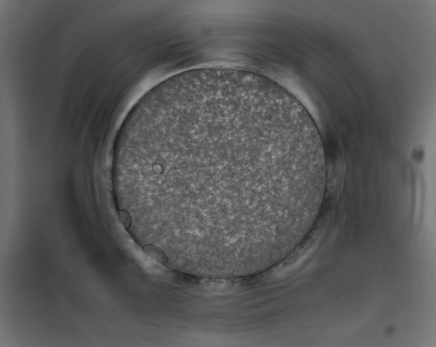 X0000100851099200807070927