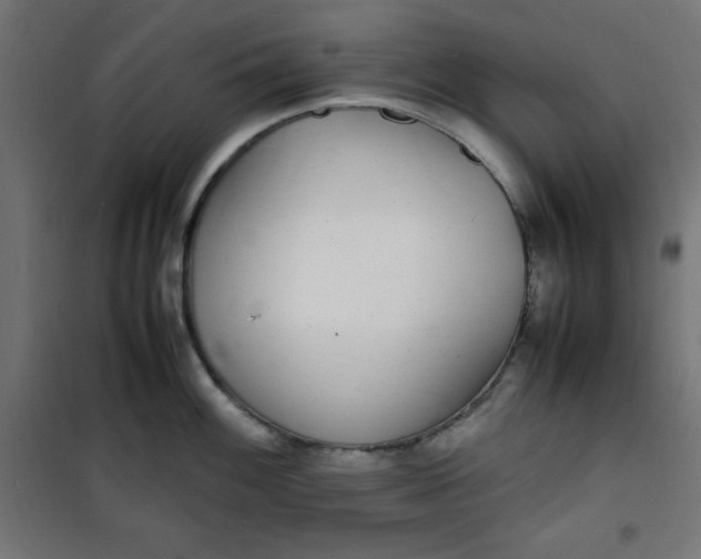 X0000100851100200807070927