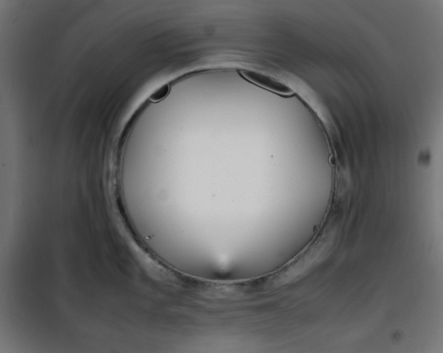 X0000100851101200807070927