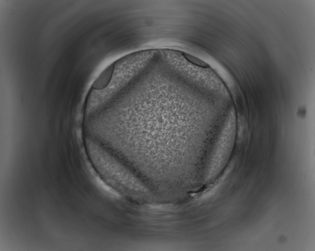 X0000100851102200807070927