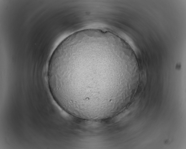 X0000100851103200807070927