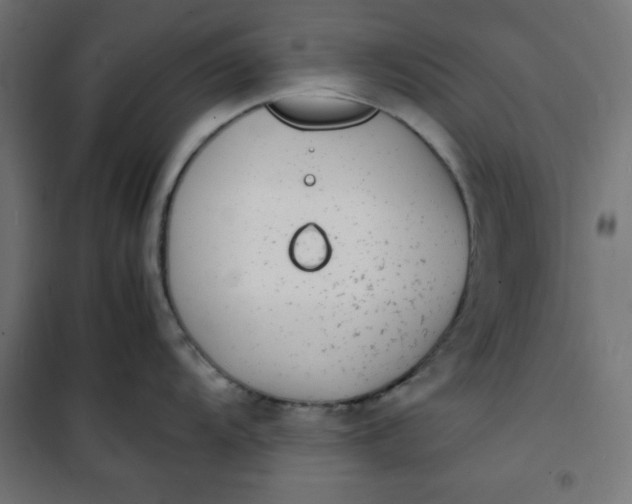 X0000100851104200807070927