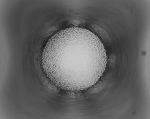 X0000100851105200807070926