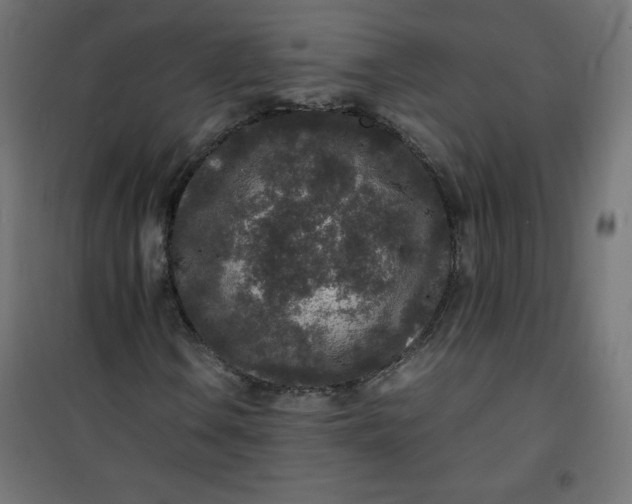 X0000100851106200807070926