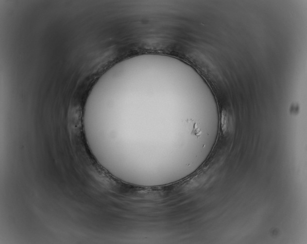 X0000100851107200807070926