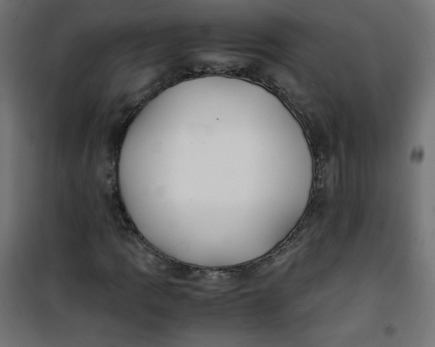 X0000100851109200807070926