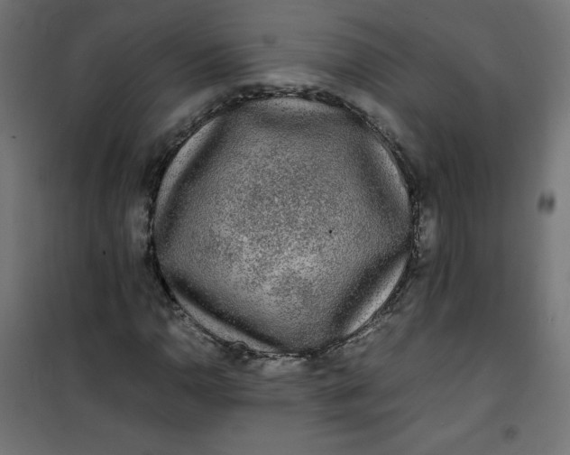 X0000100851110200807070926