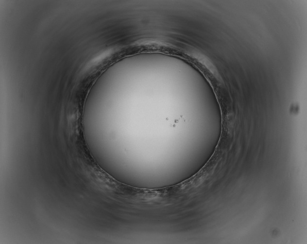 X0000100851111200807070926