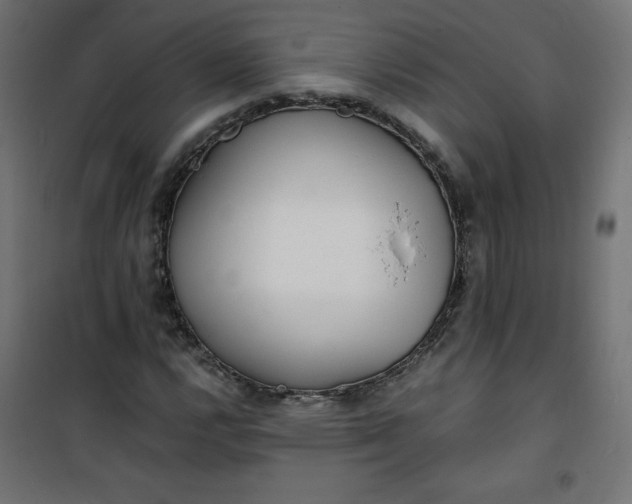 X0000100851112200807070926