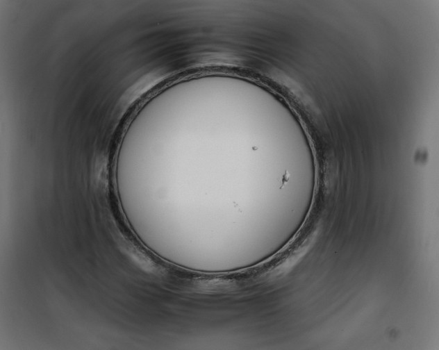 X0000100851113200807070926