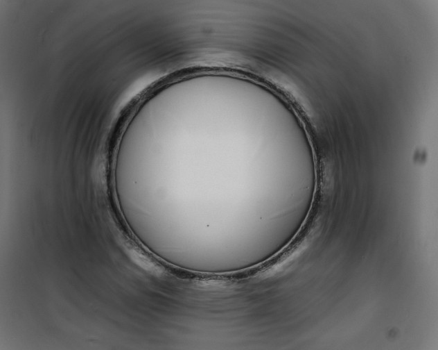 X0000100851114200807070926