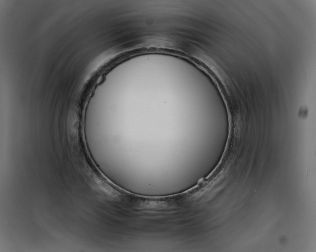 X0000100851115200807070926