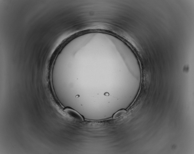 X0000100851116200807070926