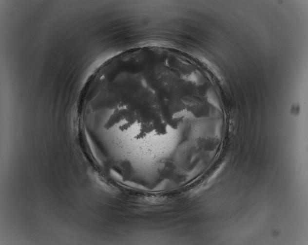 X0000100851117200807070926