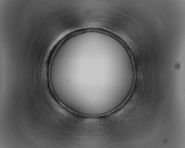 X0000100851118200807070926