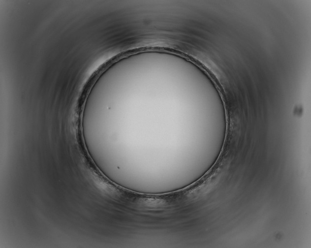 X0000100851119200807070926