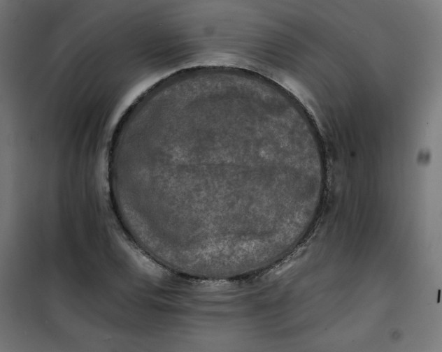 X0000100851120200807070926