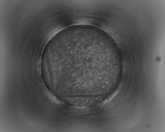 X0000100851121200807070926