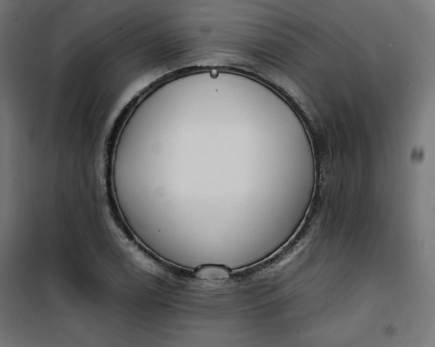 X0000100851122200807070926