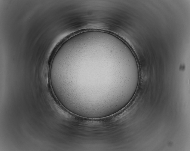 X0000100851123200807070926