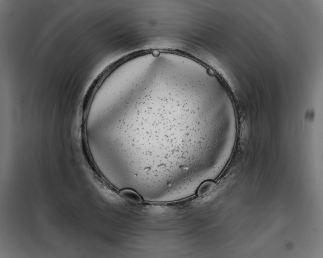 X0000100851124200807070926