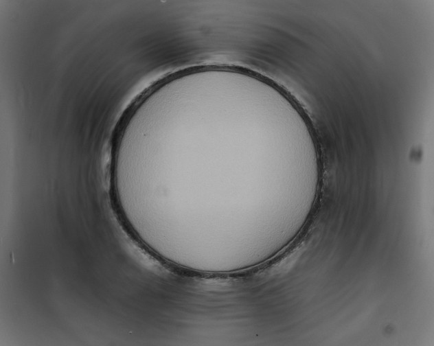 X0000100851126200807070926