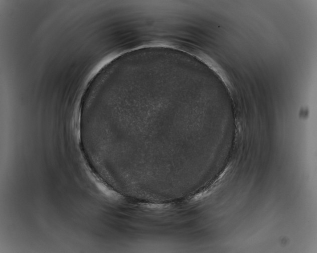 X0000100851127200807070926