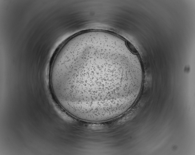 X0000100851128200807070926