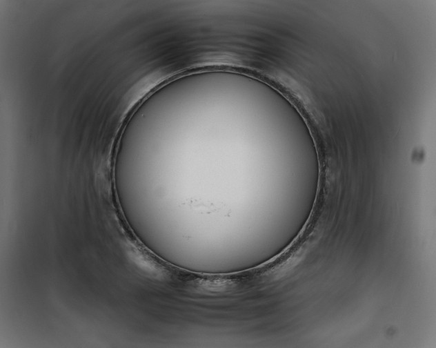 X0000100851129200807070927