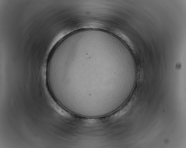 X0000100851130200807070927