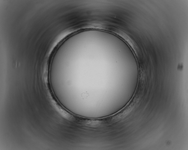 X0000100851131200807070927