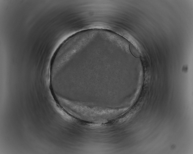 X0000100851132200807070927