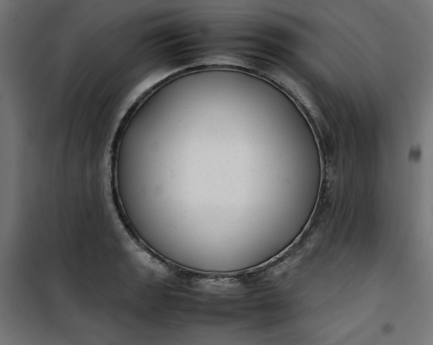 X0000100851133200807070927