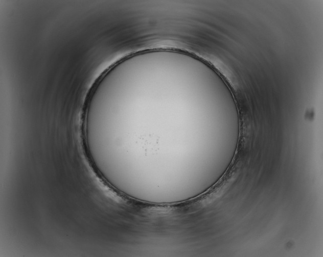 X0000100851134200807070927