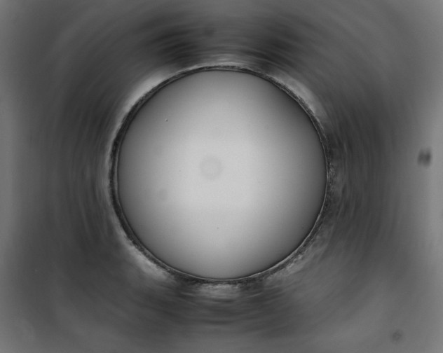 X0000100851135200807070927