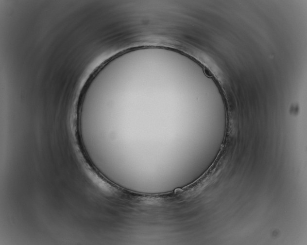 X0000100851136200807070927