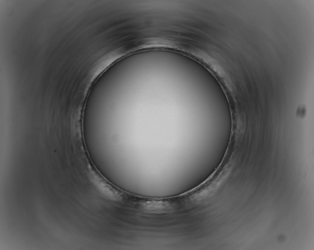 X0000100851137200807070927