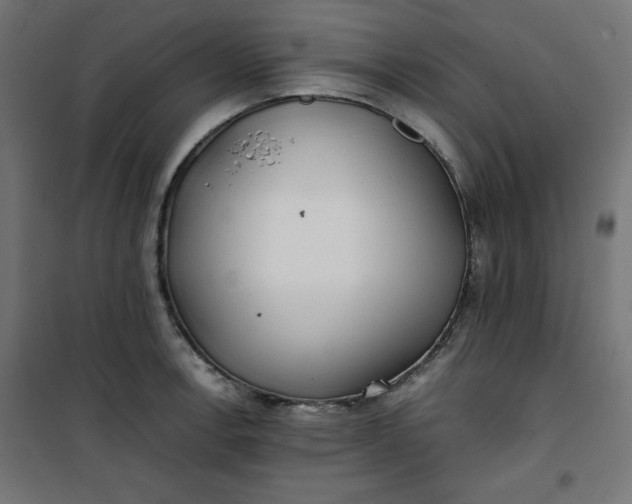 X0000100851138200807070927