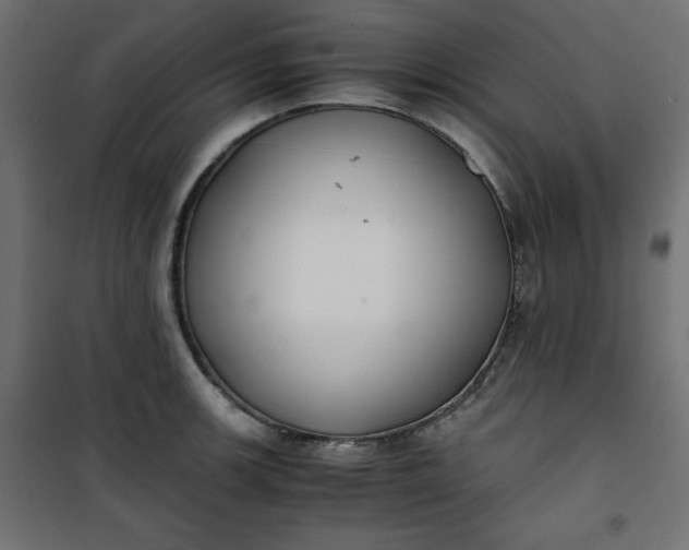 X0000100851139200807070927