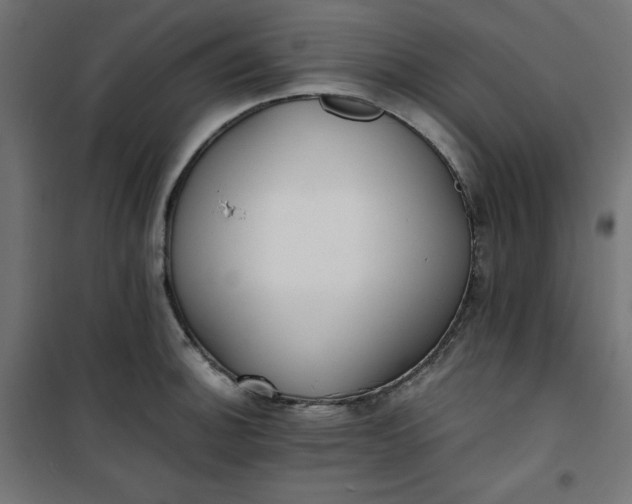 X0000100851140200807070927