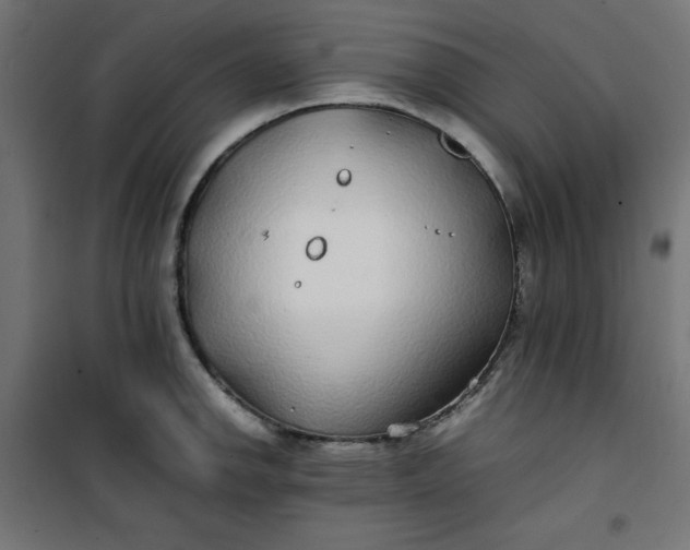 X0000100851142200807070927