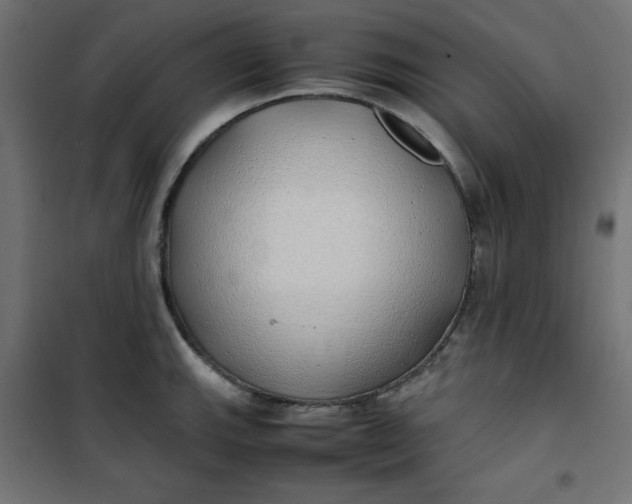 X0000100851143200807070927