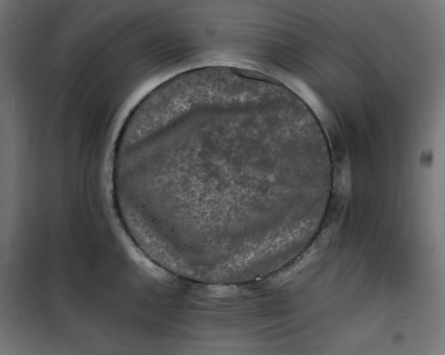 X0000100851144200807070927