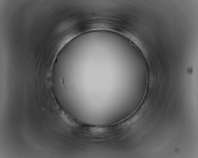 X0000100851145200807070927