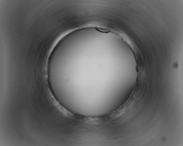 X0000100851148200807070927