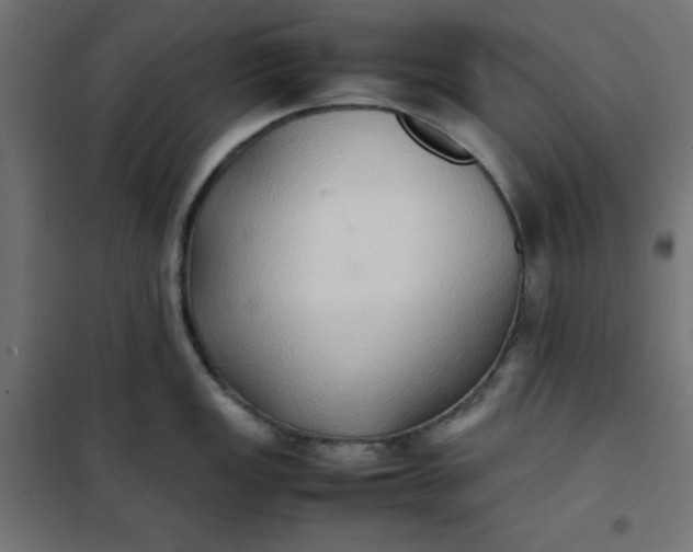 X0000100851149200807070927